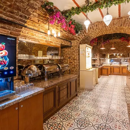 Ξενοδοχείο Meserret Palace - Special Category 4*